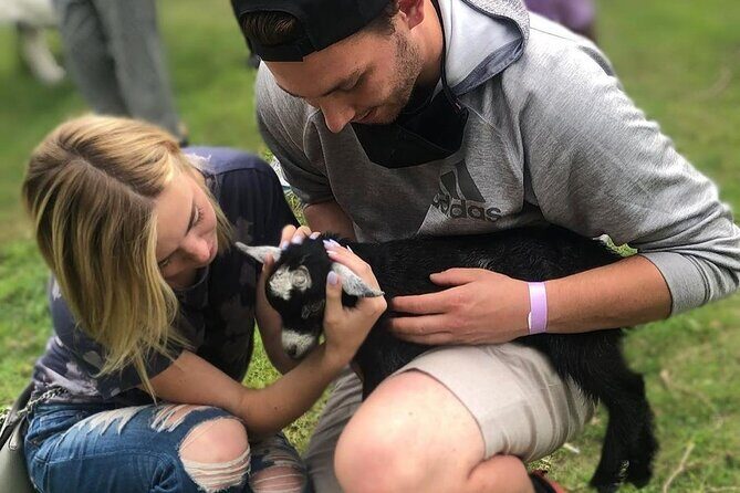 Haute Goat Shmurgle in Ontario - Key Points