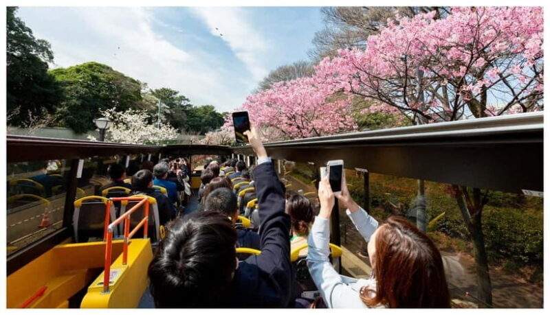 Have Fun in TOKYO Pass (1 Week Free Pass) - What You Can Expect from the Have Fun in TOKYO Pass