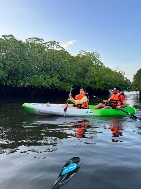 Havelock: Bioluminescence and Mangrove Kayaking Tour - Key Points