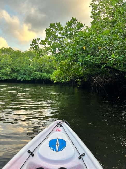 Havelock: Bioluminescence and Mangrove Kayaking Tour - Exploring Havelock: The Bioluminescent and Mangrove Kayaking Experience