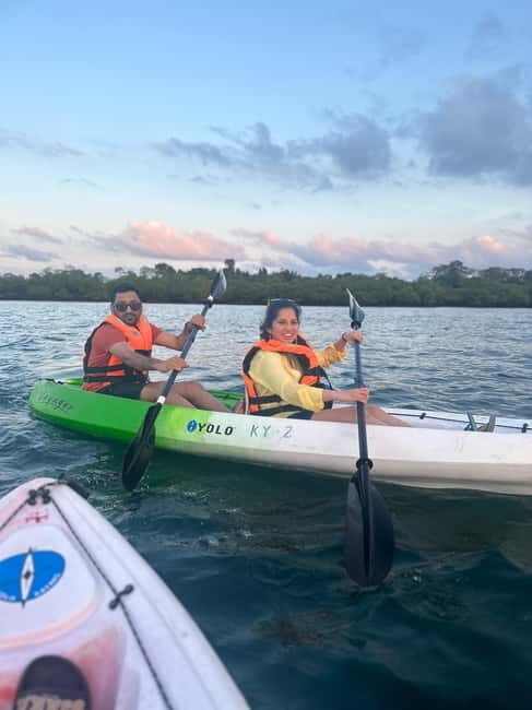 Havelock: Bioluminescence and Mangrove Kayaking Tour - The Sum Up