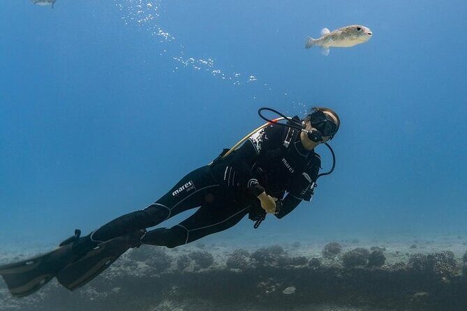 Hawaii DISCOVER Beginner + Certified 2 Tank Shallow Scuba Diving - Key Points