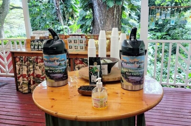 Hawaii : Oahu Island Sightseeing and Food Combo Tour - Who Should Consider This Tour?