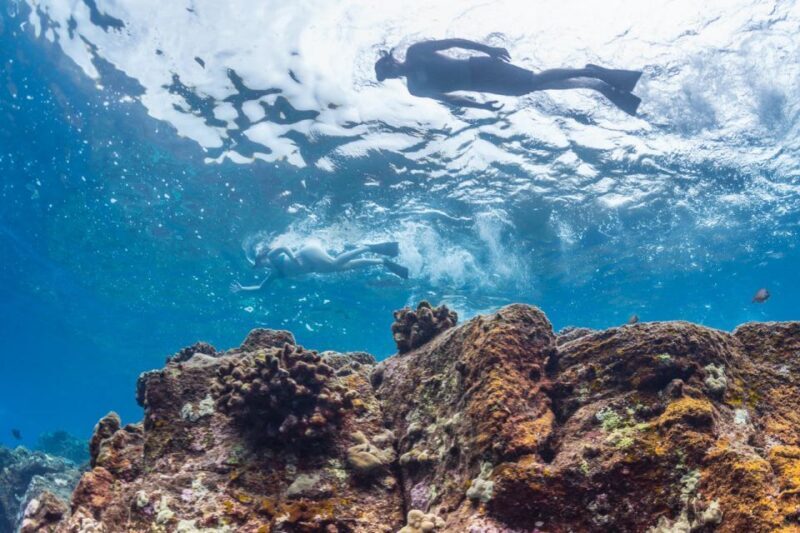 Hawaii: Pu'uhonua O Honaunau & Kealakekua Bay Snorkel Tour - Key Points