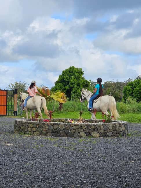 Hawaii: Small Group Rainforest Trail Ride - A Closer Look at the Experience