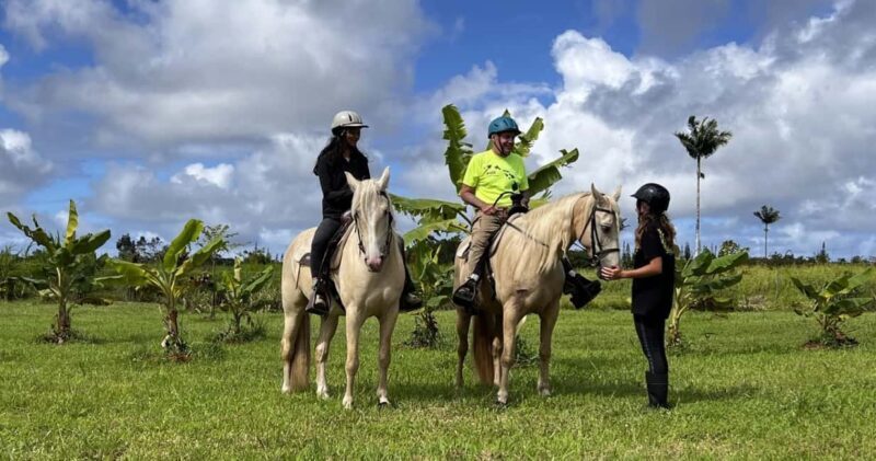 Hawaii: Small Group Rainforest Trail Ride - Detailed Breakdown of the Itinerary