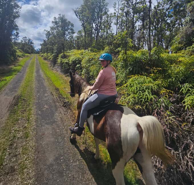 Hawaii: Small Group Rainforest Trail Ride - Practical Tips for a Smooth Ride