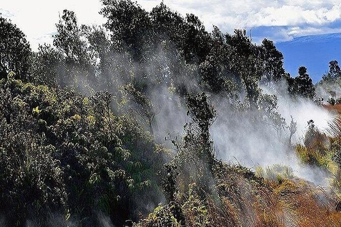 Hawaii Volcanoes National Park Experience from Maui - The Itinerary: A Deep Dive