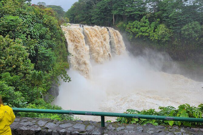 Hawaii Volcanoes, Waterfalls, Beaches & Hilo Highlights Day Tour - What Travelers Say