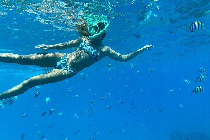 Hawaiian Culture & Snorkel Adventure with Photo/Videos - Key Points
