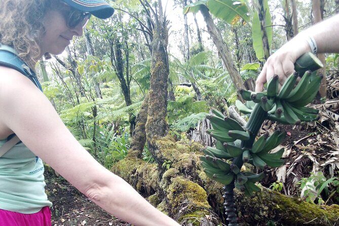 Hawaiian Rainforest Banana Cultivation Experience - Final Thoughts