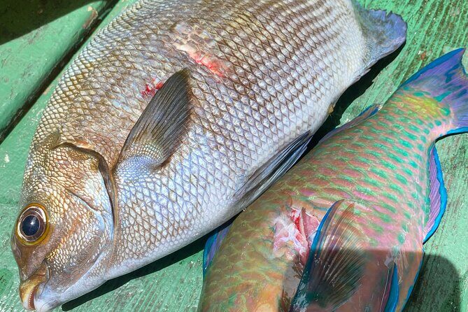 Hawaiian Reef Spearfishing Lesson for Beginners - An In-Depth Look at the Experience