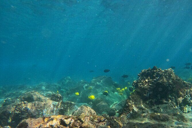 Hawaiian Sail and Snorkel in Kailua-Kona, Hawaii - Key Points