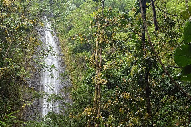 Hawaiian Waterfall Hike - An Introduction to the Hawaiian Waterfall Hike Experience