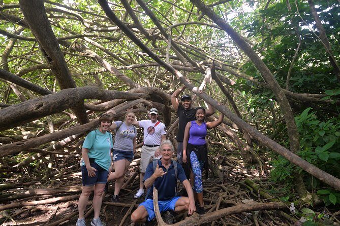 Hawaiian Waterfall Hike - Authentic Experiences and Real Traveler Feedback