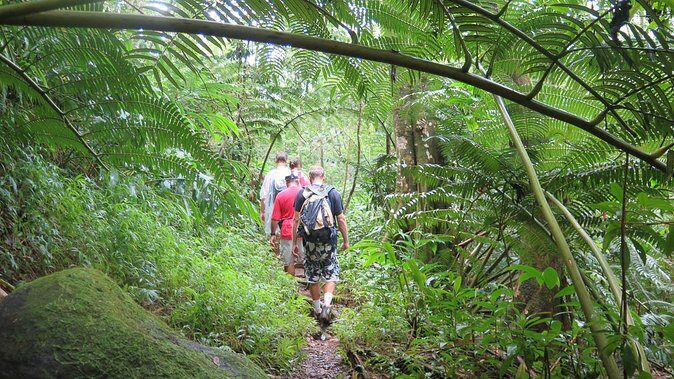 Hawaiian Waterfall Hike - Analyzing Value and Practicality