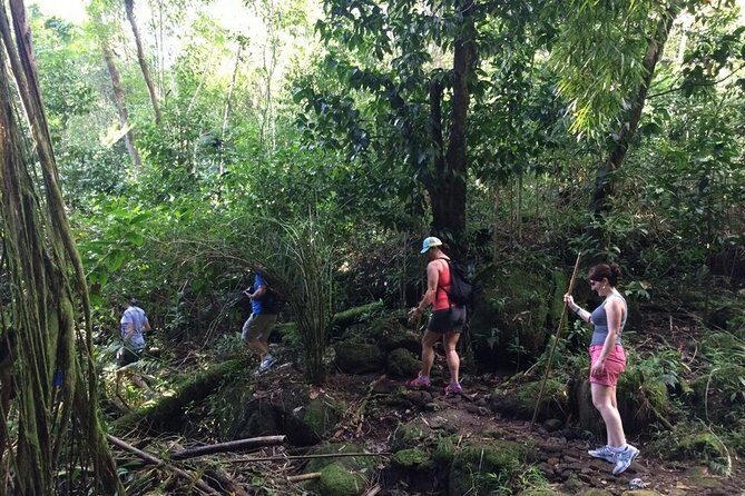 Hawaiian Waterfall Hike - Frequently Asked Questions