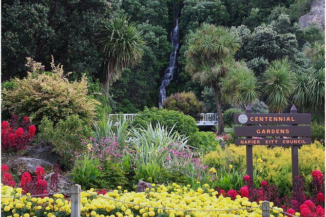 Hawke's Bay/Napier sight seeing,Temata peak,Wine Tasting - Practical Details