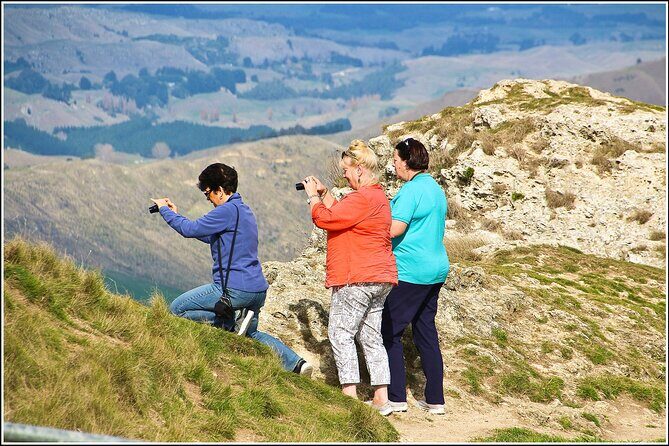 Hawkes Bay - Scenic, luncheon, wine Tour - Scenic Lookouts and the View from Te Mata Peak