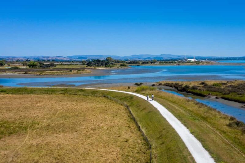 Hawke's Bay: Self Guided Coast to Vineyards Cycle Tour - The Reviews: Authentic Voices