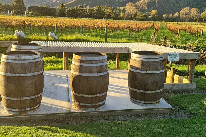 Hawkes Bay Wine Tour: Explore NZ's Great Wine Capital - Transportation and Practical Details