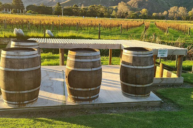 Hawkes Bay Wine Tour: Explore NZ's Great Wine Capital - Final Thoughts: Who Will Love This Tour?