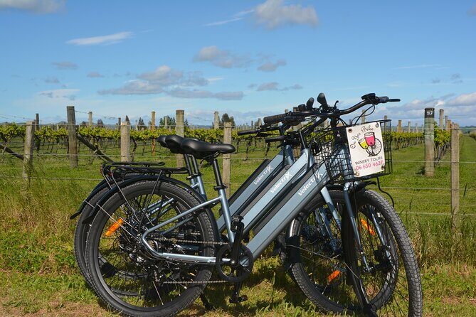 Hawkes Bay Wineries Self-Guided Electric Bike Tour - Exploring Hawkes Bay Wineries on a Self-Guided E-Bike Tour