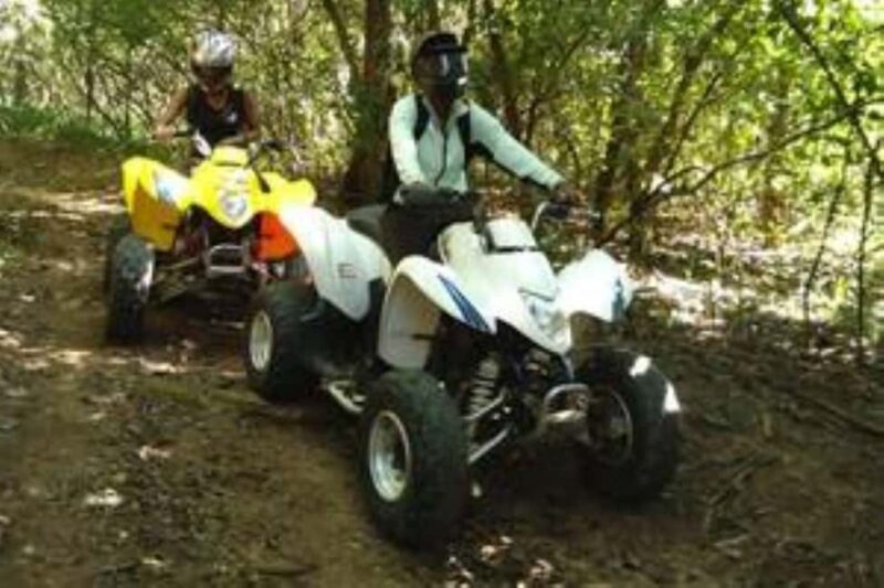 Hazyview: Guided Macadamia Plantation and Forest Quad Safari - Introduction: An Adventure Perfect for the Curious and the Adventurous