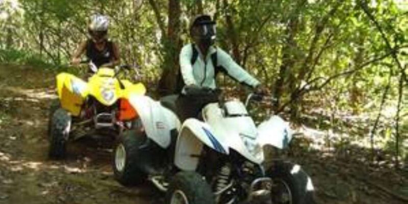 Hazyview: Guided Macadamia Plantation and Forest Quad Safari - Overall Value and Experience
