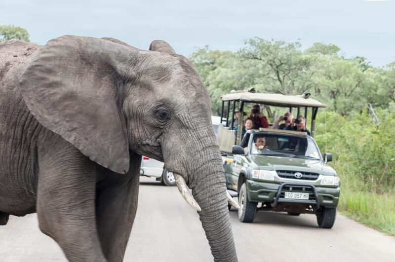 Hazyview: Kruger Park Safari & Panorama Route 2-Day Tour - What Travelers Say