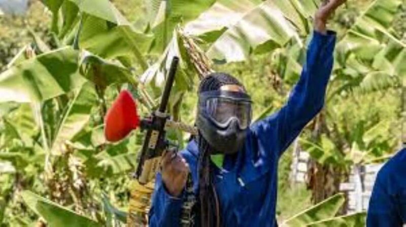 Hazyview : Paintball Target Shooting - An In-Depth Look at the Experience