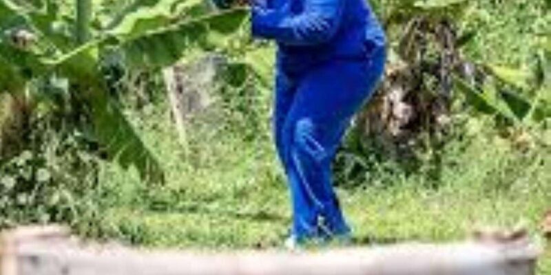 Hazyview : Paintball Target Shooting - The Sum Up