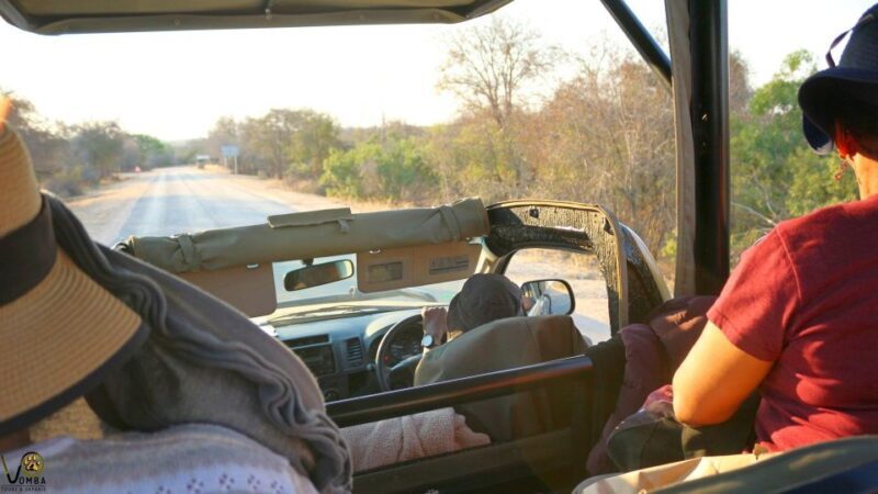 Hazyview: Private Full-Day Guided Kruger Safari - Frequently Asked Questions