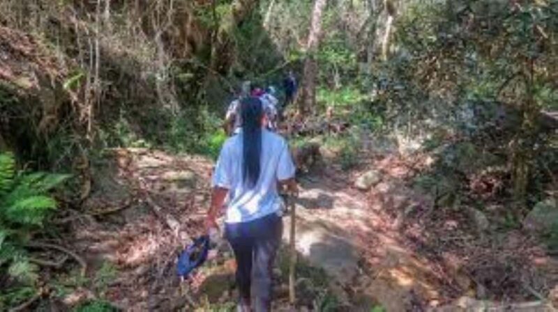 Hazyview : Sabie River Hiking Trail 12km - An Overview of the Sabie River Hiking Trail
