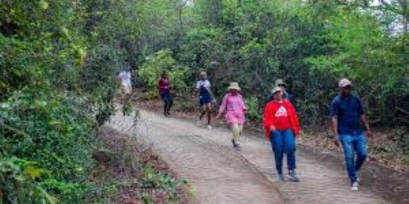 Hazyview : Sabie River Hiking Trail 12km - Who Will Love This Tour?