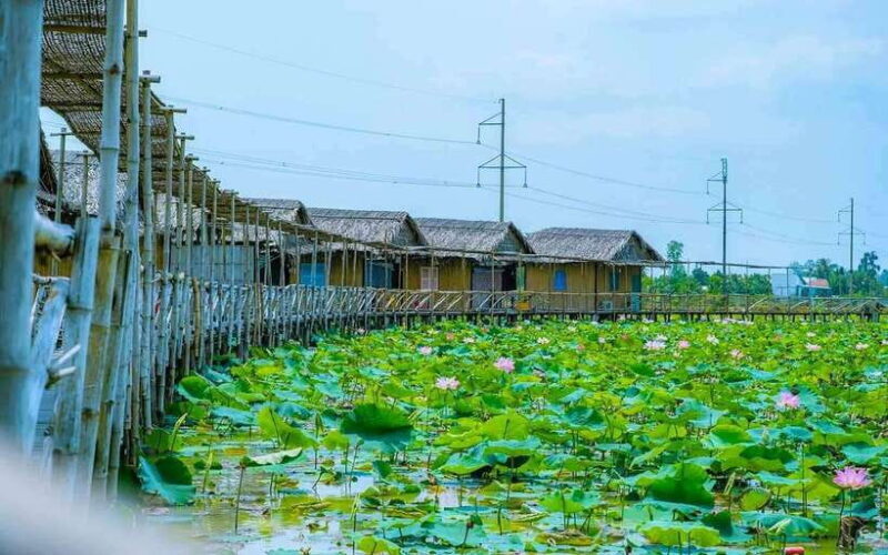 HCM: Authentic Dong Thap Mekong Delta Day Trip & Boat Ride - The Sum Up