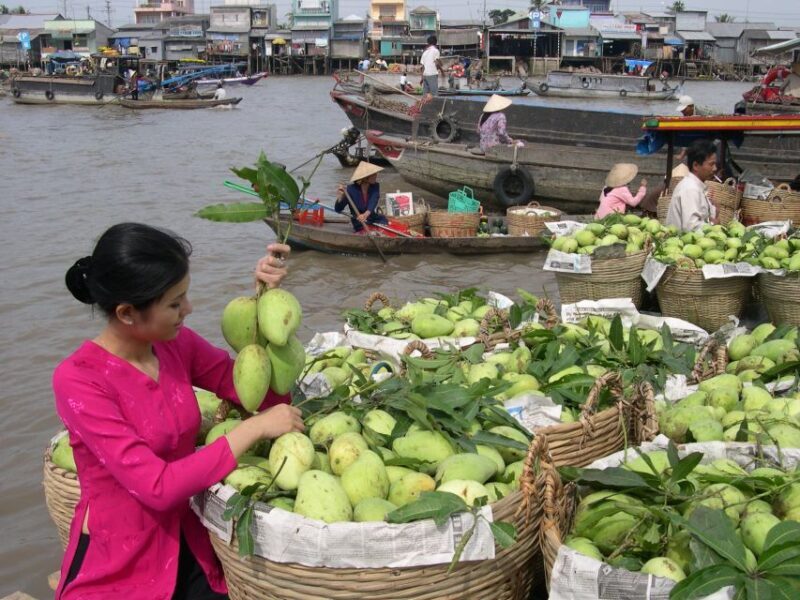 HCMC: Cai Rang Floating Market & Mekong Delta Private Tour - An In-Depth Look at the Mekong Delta Experience