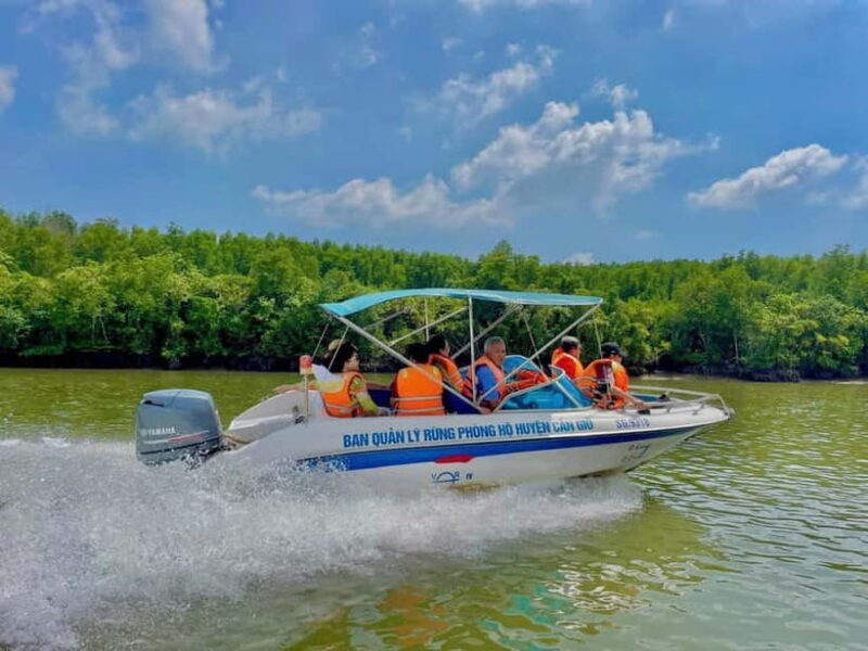 HCMC: Can Gio Mangrove Forest, Biosphere Museum & SUP Tour - Key Points