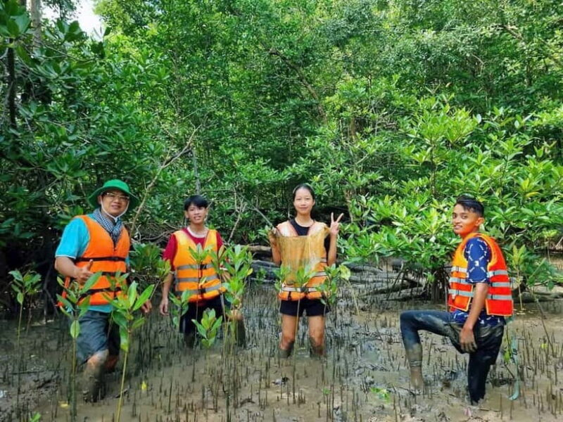 HCMC: Can Gio Mangrove Forest, Biosphere Museum & SUP Tour - Practical Details