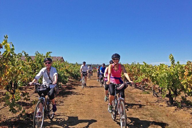 Healdsburg Cycling Wine Tour - Key Points