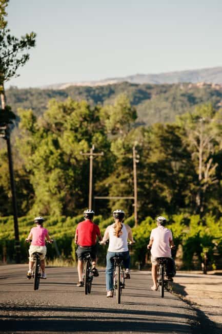 Healdsburg: Guided Electric Bike Wine Tour with Winery Stops - Key Points