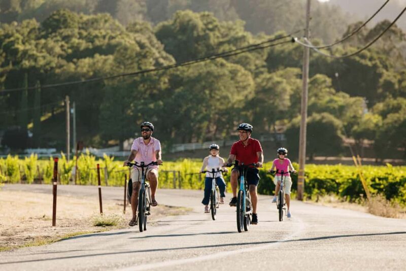 Healdsburg: Guided Electric Bike Wine Tour with Winery Stops - Who Will Love This Tour?