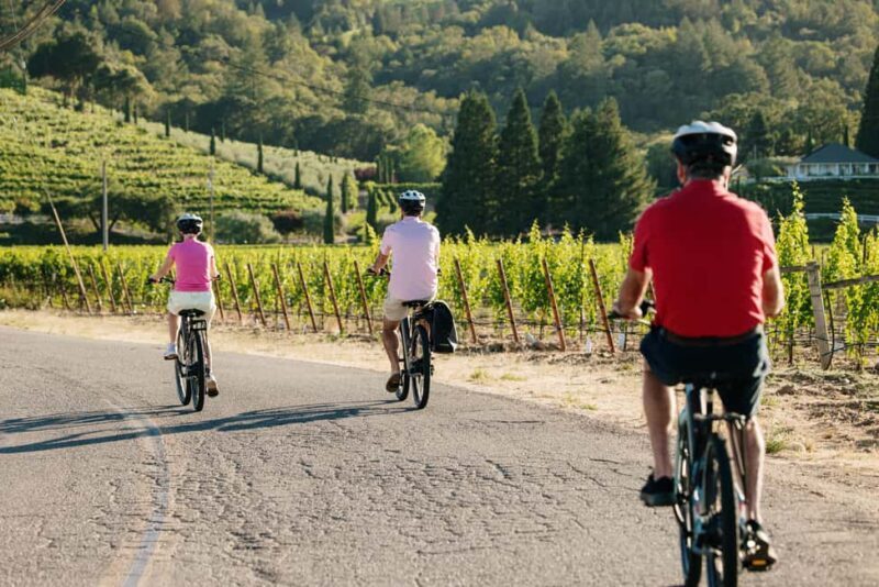 Healdsburg: Guided Electric Bike Wine Tour with Winery Stops - The Sum Up