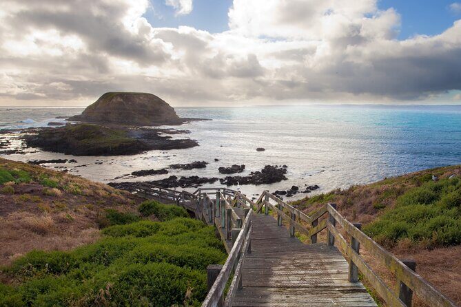 Healesville Sanctuary And Phillip Island Wildlife Bus Tour - Final Thoughts: Is It Worth It?