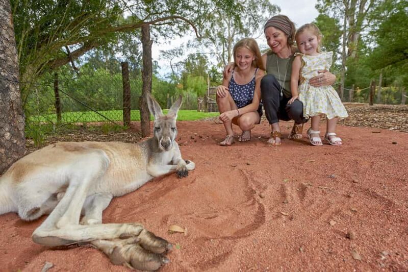 Healesville Sanctuary: General Admission Ticket - The Heart of the Experience: What You Can Expect