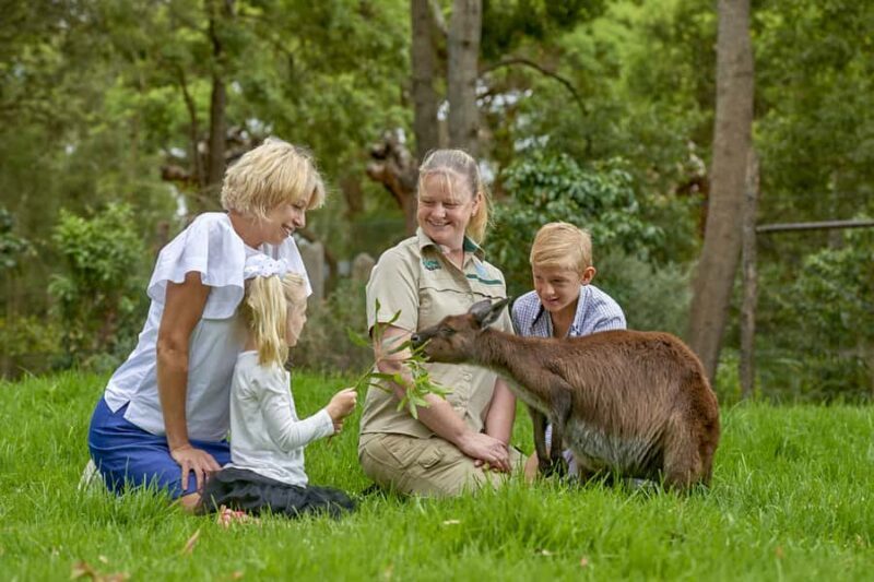 Healesville Sanctuary: General Admission Ticket - The Bottom Line: Who Should Visit Healesville Sanctuary?