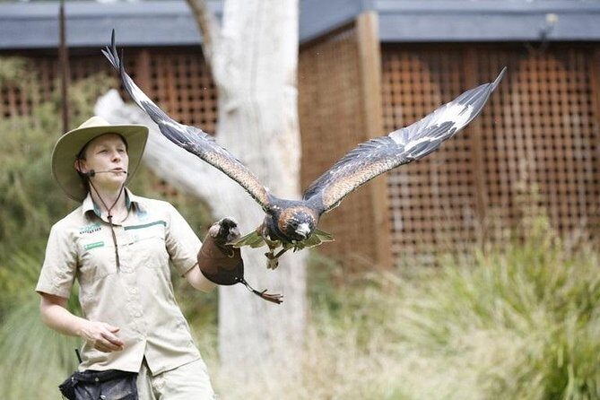 Healesville Sanctuary General Entry Ticket - Key Points