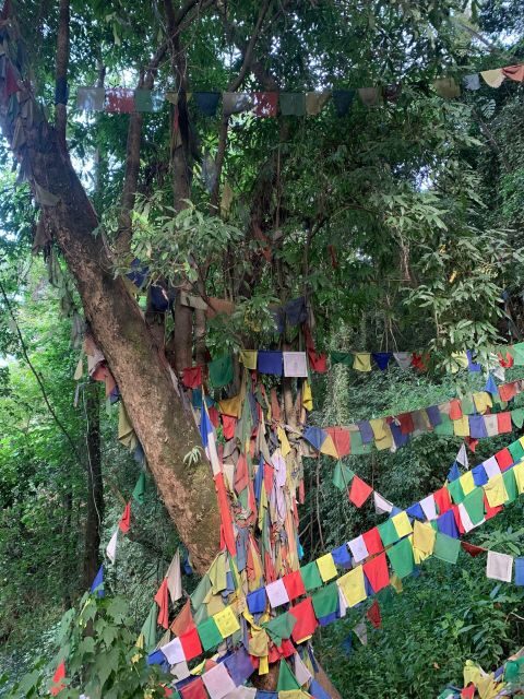 Healing Day tour - Shaman Healing - The Value and Practicalities