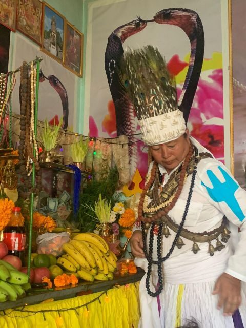 Healing Day tour - Shaman Healing - Authenticity and User Feedback