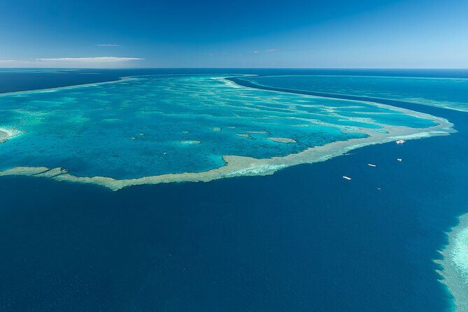 Heart Reef & Whitehaven Rest and Relax - 2.5Hr Helicopter Tour - Practical Aspects and Considerations